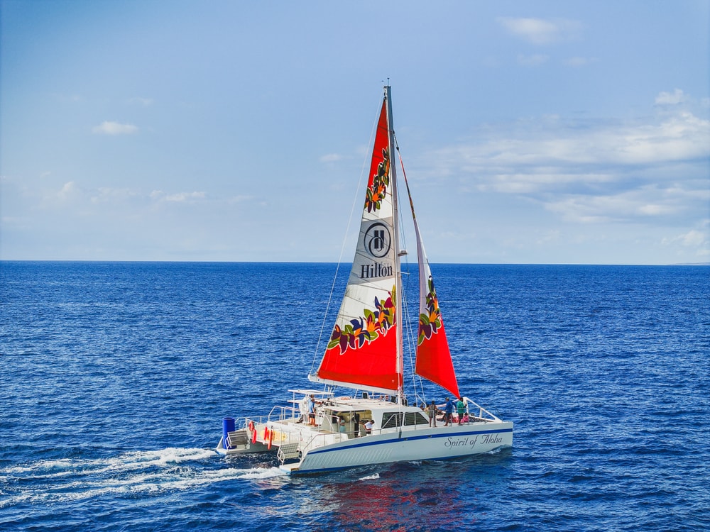 Waikoloa Deluxe Afternoon Whale Watch (A-Bay - Kona, BI) 